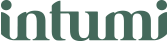 Logo intumi